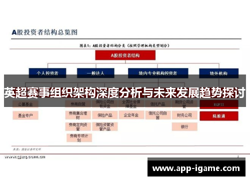 英超赛事组织架构深度分析与未来发展趋势探讨