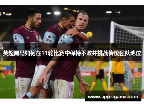 英超黑马如何在11轮比赛中保持不败并挑战传统强队地位 英超黑马如何在11轮比赛中保持不败并挑战传统强队地位