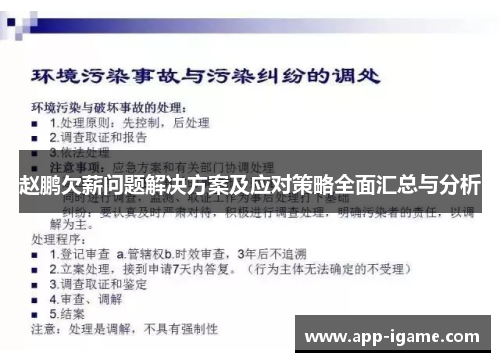 赵鹏欠薪问题解决方案及应对策略全面汇总与分析 赵鹏欠薪问题解决方案及应对策略全面汇总与分析