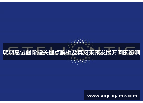 韩羽总试验阶段关键点解析及其对未来发展方向的影响