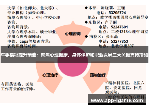 车手福祉提升策略：聚焦心理健康、身体保护和职业发展三大关键支持措施