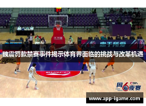 魏震罚款禁赛事件揭示体育界面临的挑战与改革机遇